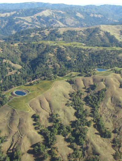 Anderson Valley Vineyards View